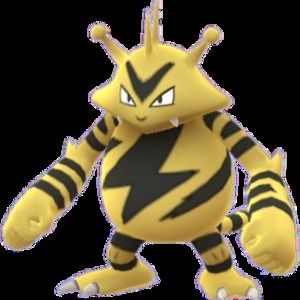 Meet your Posher, Avery